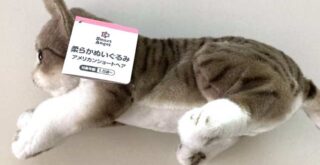 柔らかぬいぐるみアメリカンショートヘア