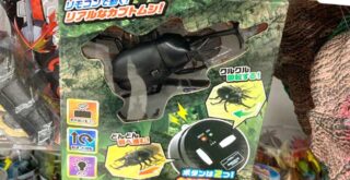 西松屋「リモコンで動く！アクションカブトムシ」昆虫のラジコンおもちゃレビュー