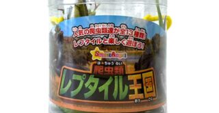 西松屋「爬虫類レプタイル王国」おもちゃ購入レビュー